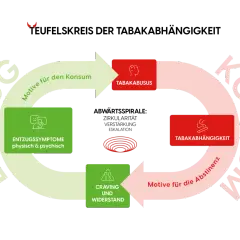 Schéma du cercle vicieux de la dépendance au tabac : consommation, sevrage tabagique effets, craving, et rechute.