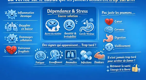 Effet négatif nicotine : inflammation, baisse d'oxygène, dommages cellulaires, cœur fragile, cerveau affecté, stress, anxiété, vieillissement. Arrêter de fumer est toujours possible.