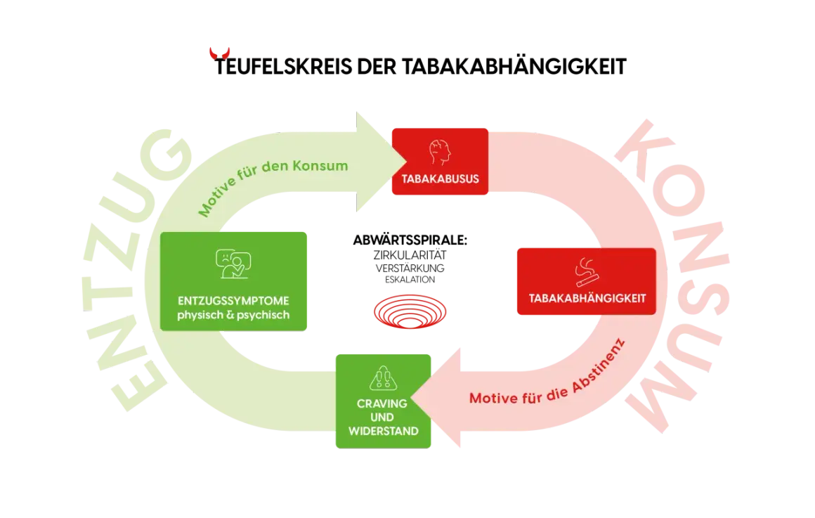 Schéma du cercle vicieux de la dépendance au tabac : consommation, sevrage tabagique effets, craving, et rechute.