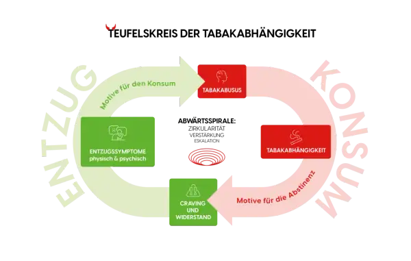 Schéma du cercle vicieux de la dépendance au tabac : consommation, sevrage tabagique effets, craving, et rechute.